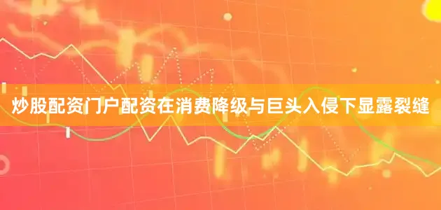 炒股配资门户配资在消费降级与巨头入侵下显露裂缝